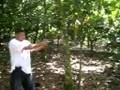 videos de San Francisco de Macoris La Joya(yoelo) el ke mas pega