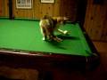 DSCN2136.MOV