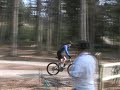 Freeride Glentress