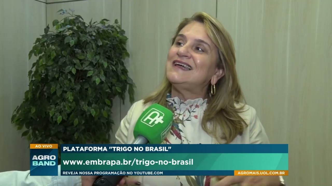 Plataforma Embrapa: ferramenta digital reúne dados do setor e ajuda produtor de trigo