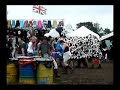 Dancing Cows at Glastonbury Festival 2005