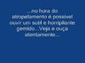 videos de Muito Maneiro vcs tem que ver