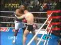 Mirko Cro Cop vs Bob Sapp