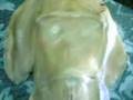 Suposto Alien encontrador por pescadores russos