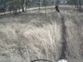 the back track 2