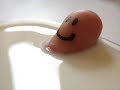FINGER FUN FINGER FUN