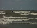 Kiteboarding amongst Ring-billed Gulls at Avon Power Plant Ohio Nov. 6, 2009 - 11-06