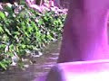MOV00003.3gp