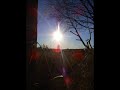 Nature Photography