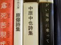 中山義秀の話題 ちょっと 中山義秀