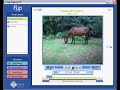 Flip Video Camera Software Tutorial Flip Video Camera Software Tutorial