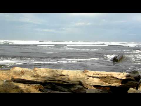 how to enable jetty logging