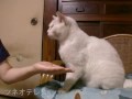 lucky hand