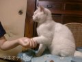 lucky hand
