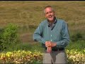 Virginia Farm Bureau - In the garden with Mark Viette Virginia Farm Bureau - In the garden with Mark Viette