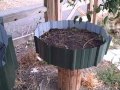 Cable Spool Waist High Raised Bed Garden at a SLC Community Garden