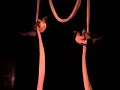 Two Ladies - Double Cloudswing