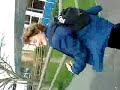 goffs residential spaz - dinosaur walk