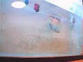 Arowana eats rat choke & jumps