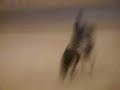 Faulx les tombes cours moyen