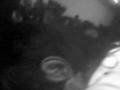 videos de makako show