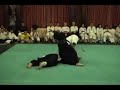 Hattori-aikido-sankyo