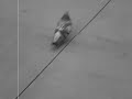 Jon Par's PIGEONS ON 42nd STREET Film