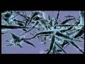 Cortisol para tratar las fobias