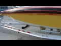 New Checkmate 300 XS Walk Around