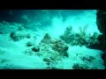 Bermuda Video
