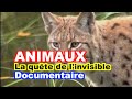 ETHOLOGIE : La quête de l'invisible Default