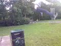Casey Gets Good Air!