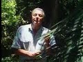 david attenborough looks at how plants compete to get the most sunlight in thick tropical forest. from the bbc.