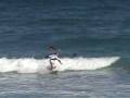 videos de Christian Miller Surfing
