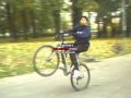 les tateur de roue du 95sang40