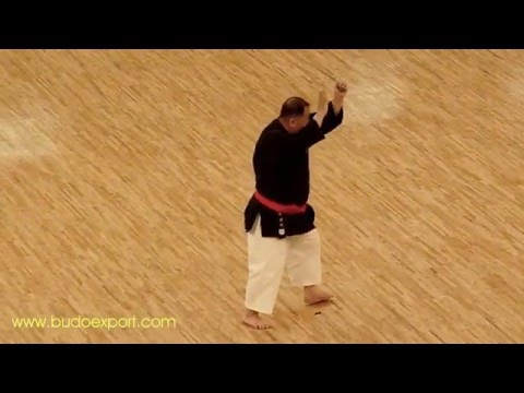 0 33th All Japan Kobudo (2010)