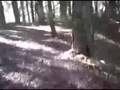 Aloha Hash House Harriers #753