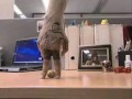 Fingerfussball