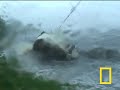 Hurricane Destruction