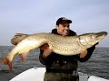 Kapitale Hechte - by www.baitcaster.de Hecht Pike Snoek Kapitale Hechte - by www.baitcaster.de Hecht Pike Snoek