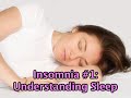 Understanding Sleep (Insomnia #1)