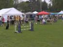 Bunker BOTC AKC Novice JWW Title