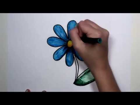 How to Draw Flower Step by Step – Blue Daisy Drawing Lesson MLT