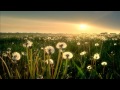 Hysteria! What You Want Video and Lyrics