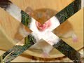 Funny Hamsters!Try not to Grim or laugh