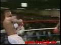 Mike Tyson KO's - Tupac RemiX