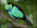 amazing world creatures of wonder! 2