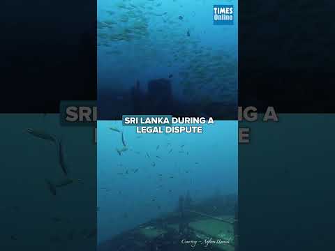 The Fish Assemblages of Colombo&rsquo;s Shipwrecks