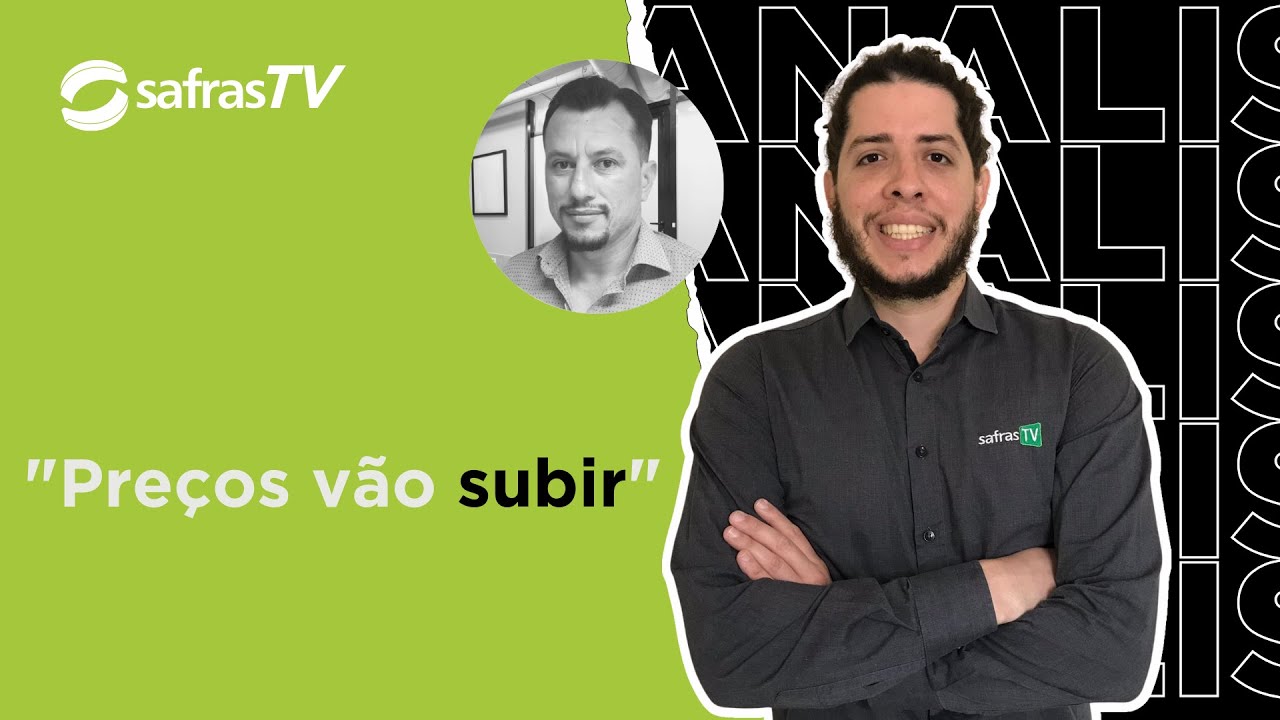 Produtor adota postura defensiva com viés de alta do trigo no Brasil