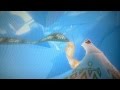 Journey Wall Glitch